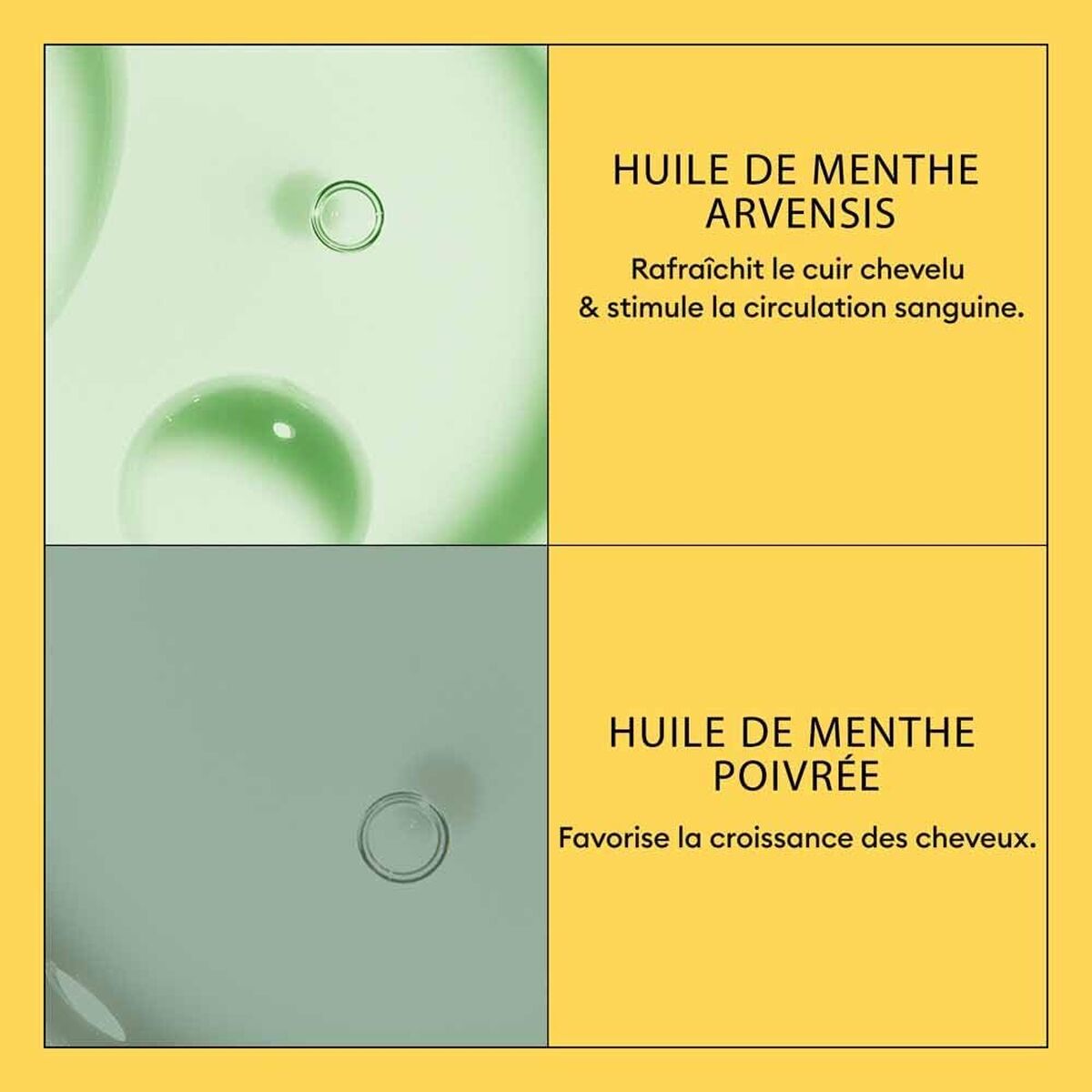 V4H3D05A0AC95CDF0CC80C20380DFE8E3CDR7509596P4